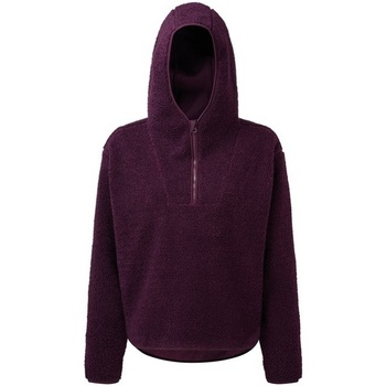 Textiel Dames Sweaters / Sweatshirts Tridri  Violet