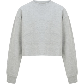 Textiel Meisjes Sweaters / Sweatshirts Sf Minni SM515 Grijs