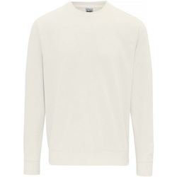 Textiel Heren Sweaters / Sweatshirts Awdis  Beige