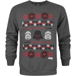 Textiel Heren Sweaters / Sweatshirts Disney  Grijs