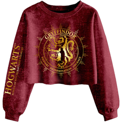 Textiel Dames Sweaters / Sweatshirts Harry Potter  Multicolour