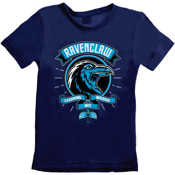 Textiel Kinderen T-shirts & Polo’s Harry Potter  Blauw