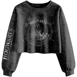 Textiel Dames Sweaters / Sweatshirts Harry Potter  Zwart