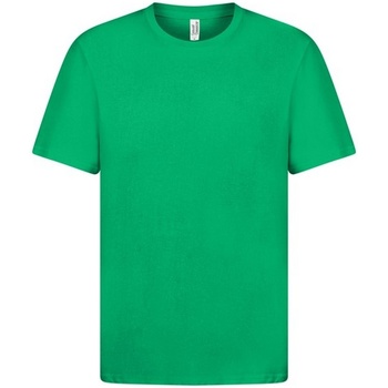 Textiel Heren T-shirts met lange mouwen Casual Classics  Groen