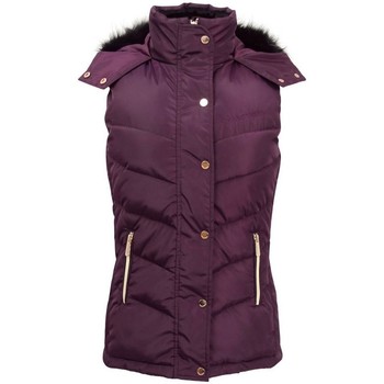 Textiel Dames Wind jackets Coldstream  Violet