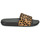 Schoenen Dames slippers FitFlop IQUSHION Luipaard / Zwart