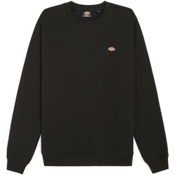 Textiel Heren Sweaters / Sweatshirts Dickies Sweatshirt  Oakport Zwart