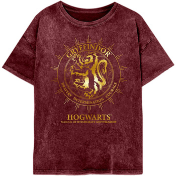 Textiel Dames T-shirts met lange mouwen Harry Potter  Multicolour
