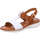 Schoenen Dames Sandalen / Open schoenen Ara 12-23610-06 Bruin