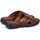 Schoenen Heren Sandalen / Open schoenen Pikolinos Calblanque Bruin