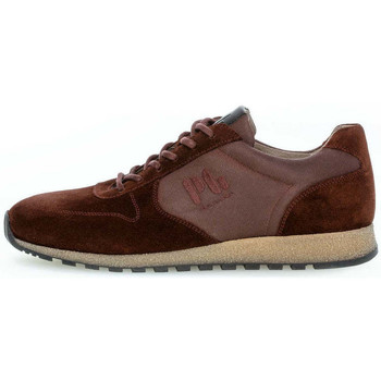 Schoenen Heren Sneakers Pius Gabor 0496.10.04 Bruin