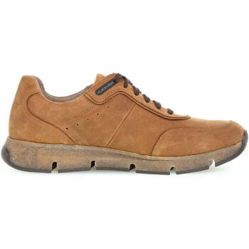 Schoenen Heren Sneakers Pius Gabor 1022.11.07 Bruin