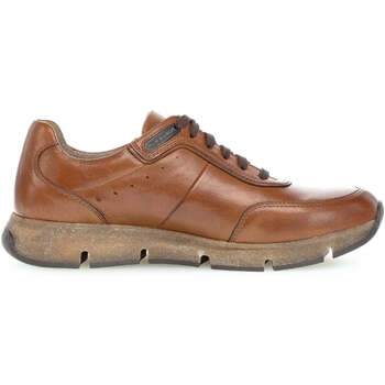 Schoenen Heren Sneakers Pius Gabor 1022.11.10 Bruin