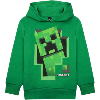 Textiel Jongens Sweaters / Sweatshirts Minecraft  Groen