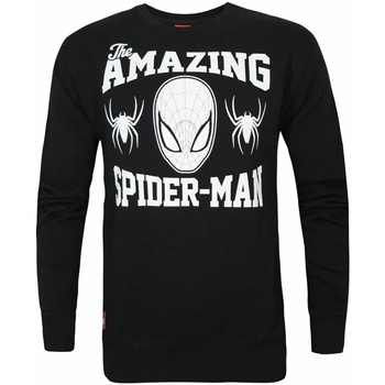 Textiel Heren Sweaters / Sweatshirts Marvel  Zwart