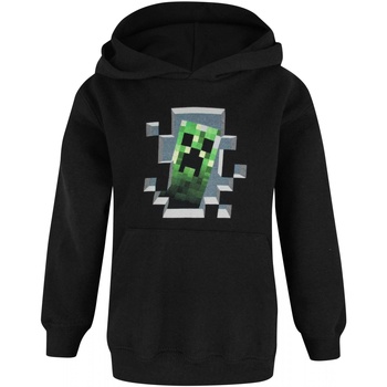 Textiel Jongens Sweaters / Sweatshirts Minecraft  Zwart