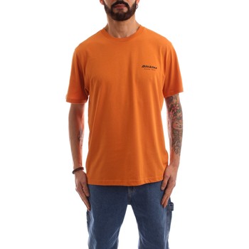 Textiel Heren T-shirts korte mouwen Dickies DK0A4XNYC381 Oranje
