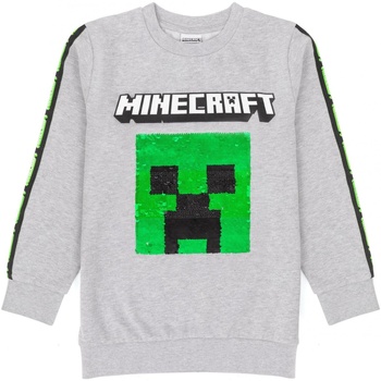 Textiel Kinderen Sweaters / Sweatshirts Minecraft  Grijs