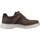 Schoenen Heren Sneakers Clarks 26162194 Bruin