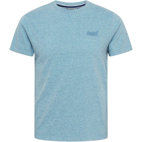 Textiel Heren T-shirts korte mouwen Superdry 188876 Blauw