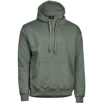 Textiel Heren Sweaters / Sweatshirts Tee Jays T5430 Groen