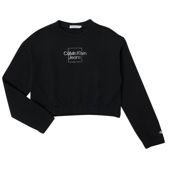 Textiel Meisjes Sweaters / Sweatshirts Calvin Klein Jeans METALLIC BOX LOGO SWEATSHIRT Zwart