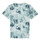 Textiel Kinderen T-shirts korte mouwen Calvin Klein Jeans TIE DYE AOP T-SHIRT Multicolour