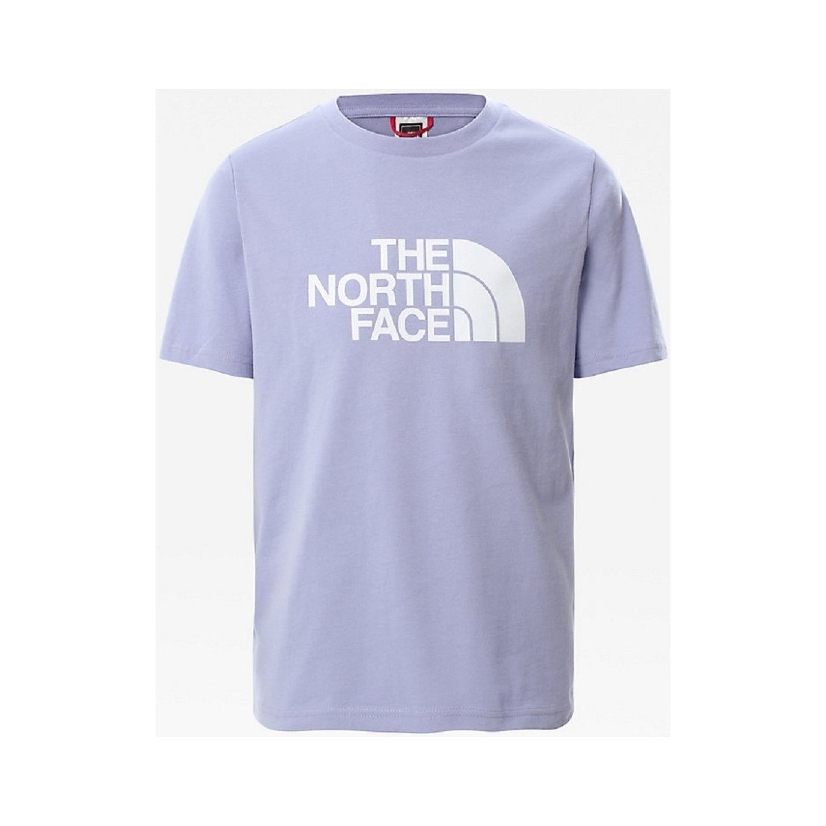 Textiel Meisjes T-shirts korte mouwen The North Face CAMISETA UNISEX JUNIOR  NF0A55DB Other