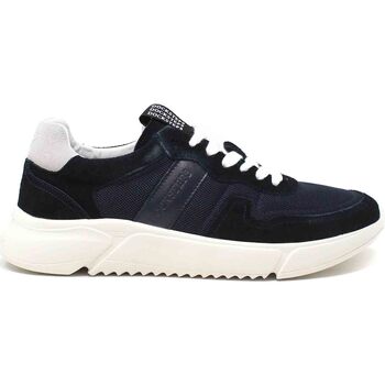 Schoenen Heren Lage sneakers Docksteps DSM110005 Blauw