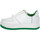 Schoenen Dames Sneakers Windsor Smith GREEN REBOUND Groen