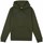 Textiel Heren Sweaters / Sweatshirts Penfield Sweatshirt à capuche  Bear Chest Print Groen