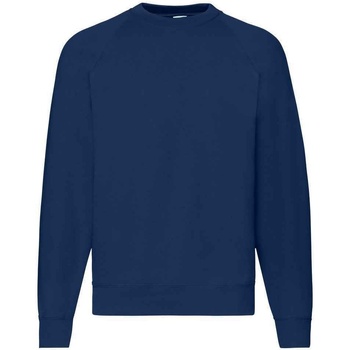 Textiel Heren Sweaters / Sweatshirts Fruit Of The Loom SS8 Multicolour