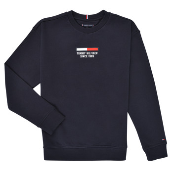 Textiel Jongens Sweaters / Sweatshirts Tommy Hilfiger KB0KB07603-DW5 Marine