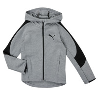 Textiel Jongens Sweaters / Sweatshirts Puma EVOSTRIPE CORE FZ HOODIE Grijs