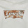 Textiel Jongens Sweaters / Sweatshirts Levi's BATWING PRINT HOODIE Wit