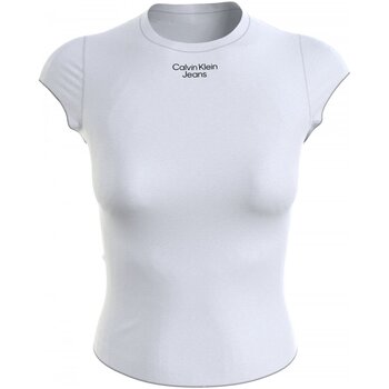 Textiel Heren T-shirts korte mouwen Calvin Klein Jeans J20J218707 Wit