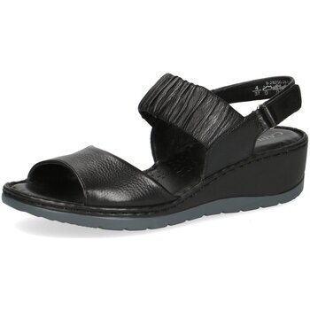 Schoenen Dames Sandalen / Open schoenen Caprice  Zwart