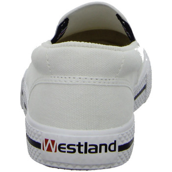 Westland  Wit