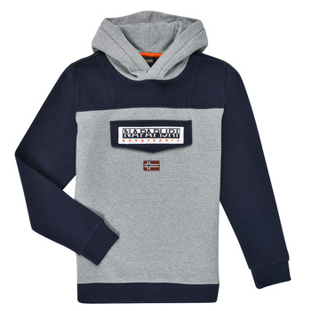 Textiel Jongens Sweaters / Sweatshirts Napapijri BURGEE Grijs / Marine