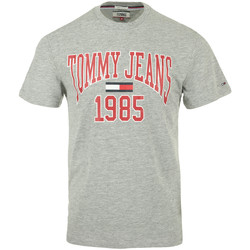 Textiel Heren T-shirts korte mouwen Tommy Hilfiger Collegiate Tee Grijs