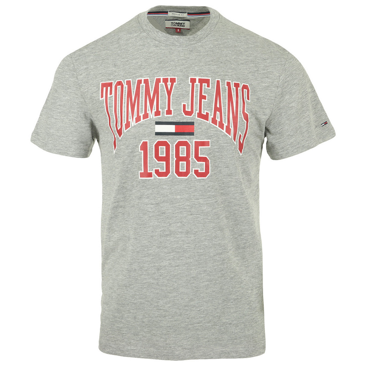 Textiel Heren T-shirts korte mouwen Tommy Hilfiger Collegiate Tee Grijs