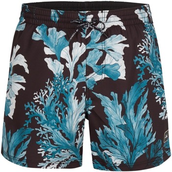 Textiel Heren Korte broeken / Bermuda's O'neill Short de bain  Origin Oyster Zwart