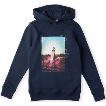 Textiel Jongens Sweaters / Sweatshirts O'neill Sweatshirt enfant  Surfboard Blauw