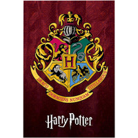 Wonen Posters Harry Potter TA4109 Multicolour