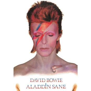 Wonen Posters David Bowie TA8336 Multicolour