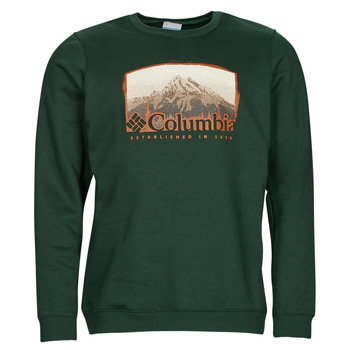 Textiel Heren Sweaters / Sweatshirts Columbia Hart Mountain  Graphic Crew Groen