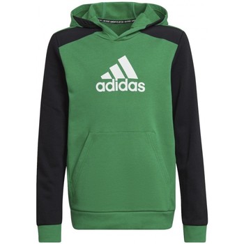 Textiel Jongens Sweaters / Sweatshirts adidas Originals B Bos Hd Groen