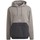 Textiel Heren Sweaters / Sweatshirts adidas Originals Sprt Arch Hood Grijs