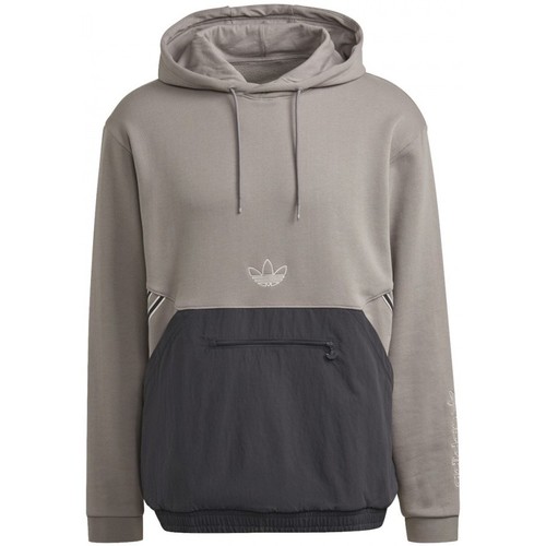 Textiel Heren Sweaters / Sweatshirts adidas Originals Sprt Arch Hood Grijs