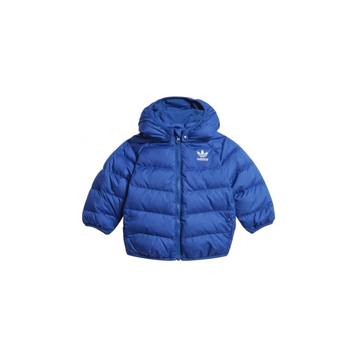 Textiel Kinderen Wind jackets adidas Originals Rd Jacket Blauw